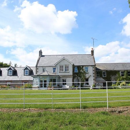 Отель Boyne View House Трим Экстерьер фото